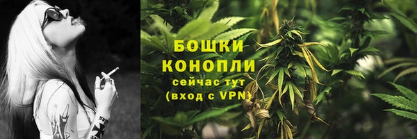 трава Аркадак