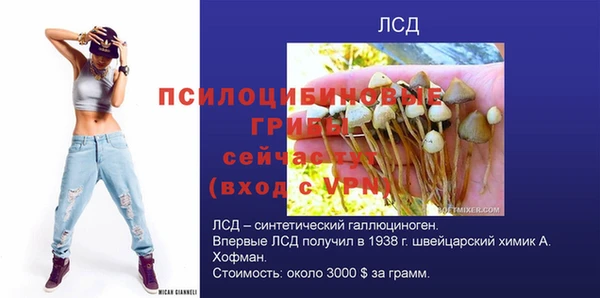 хмурый Арсеньев