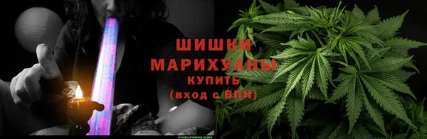 хмурый Арсеньев