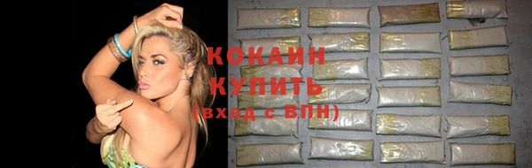 хмурый Арсеньев
