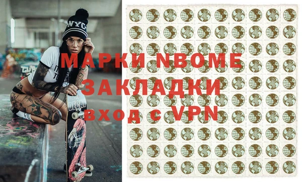 хмурый Арсеньев