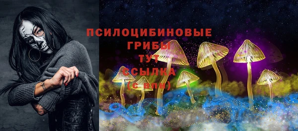хмурый Армянск