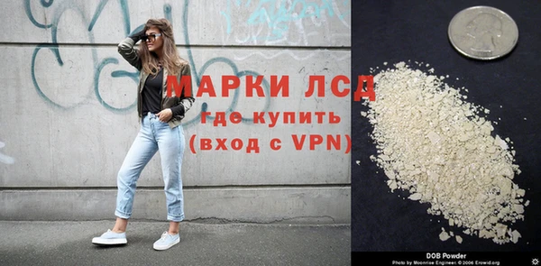 трава Аркадак