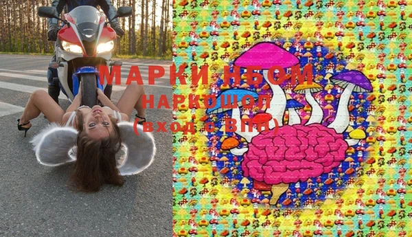 трава Аркадак