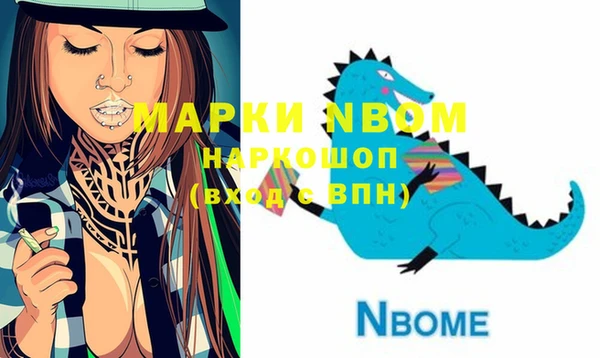 хмурый Арсеньев