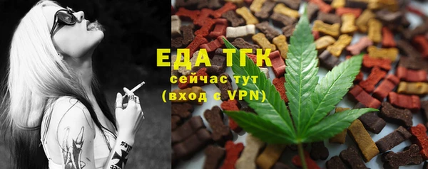 хмурый Арсеньев