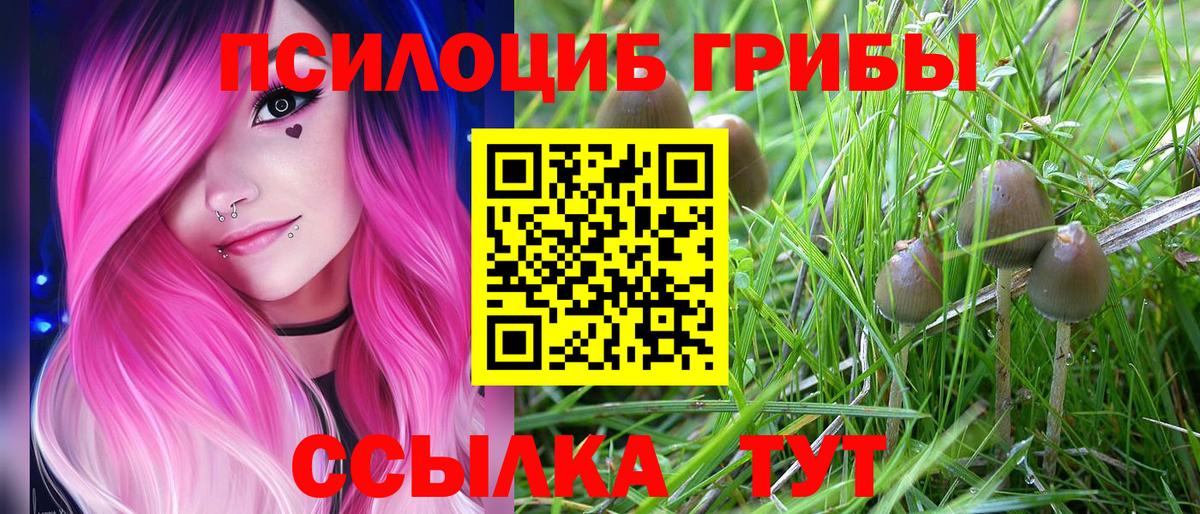 купить   Псилоцибиновые грибы MAGIC MUSHROOMS  Нарьян-Мар  Вход с VPN  Псилоцибиновые грибы Psilocybe 